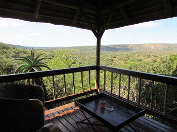 Woodbury Lodge Riserva Faunistica di Amakhala Esterno foto