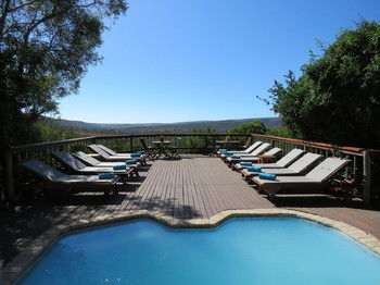 Woodbury Lodge Riserva Faunistica di Amakhala Esterno foto