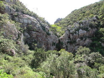 Woodbury Lodge Riserva Faunistica di Amakhala Esterno foto